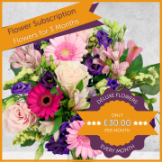 Flowers for 3 Months