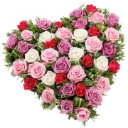 Rose Heart 12