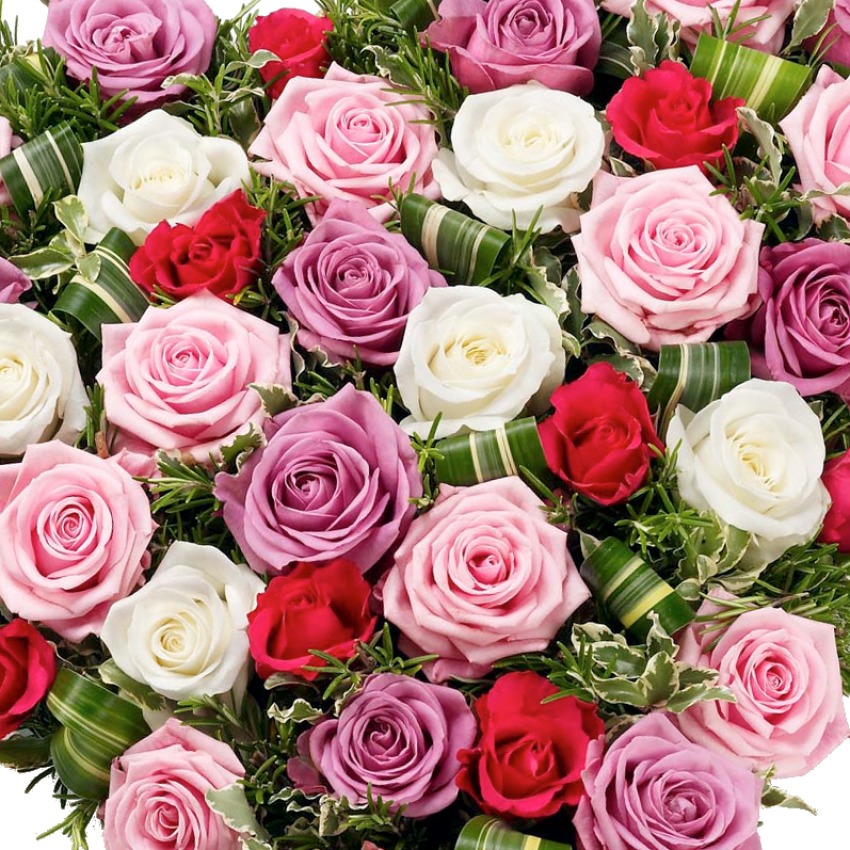 Rose Heart 12