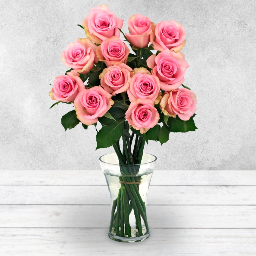 12 Pink Rose Bouquet
