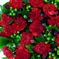 Carnation Heart 12