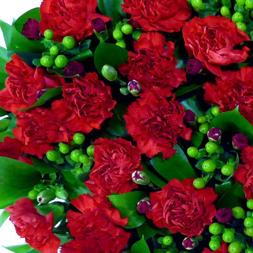 Carnation Heart 12
